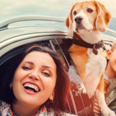 Road Trip Planning Tips With Your Pet