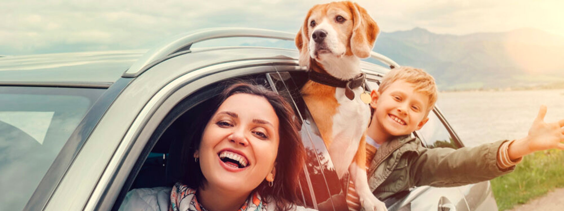 Road Trip Planning Tips With Your Pet