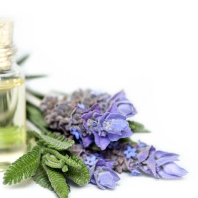 Top Essential Oils for Oily Hair and Skin