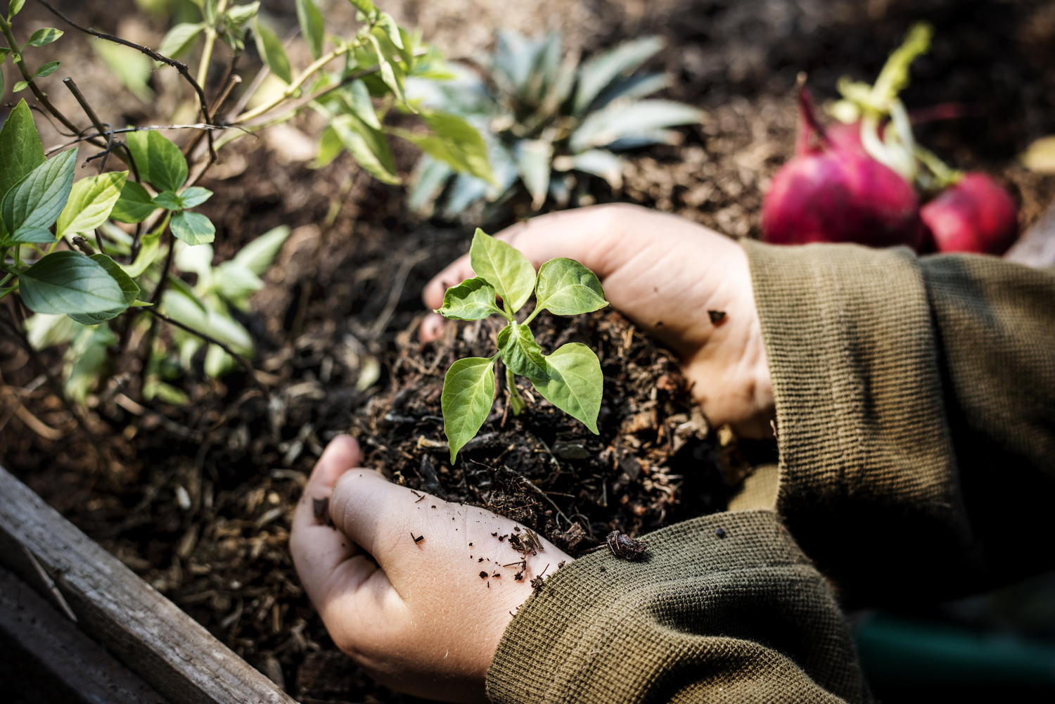 7 Yardwork Hacks That Will Save Your Time